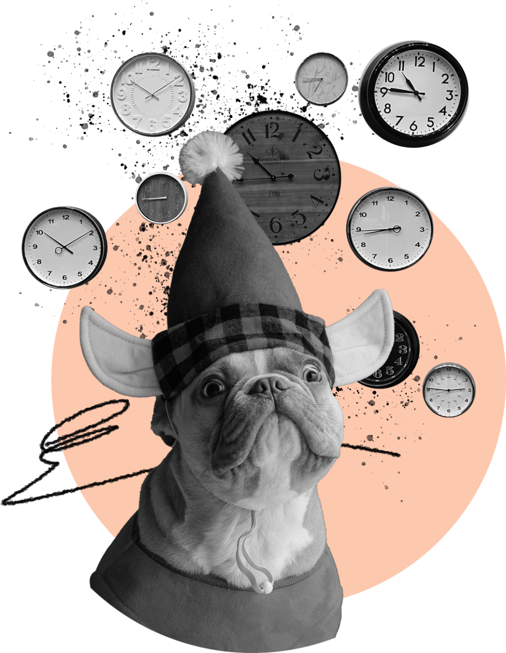 collage of a dog in Christmas outfit and lots of clocks