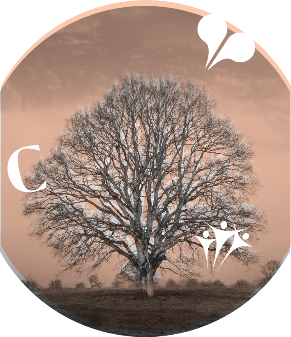 An illustration of a tree with the Melin, Candleston and Y Prentis logos